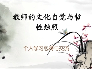 教师的文化自觉与哲性烛照