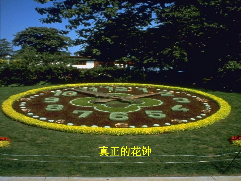 人教版小学三年级语文上册《花种》_第3页