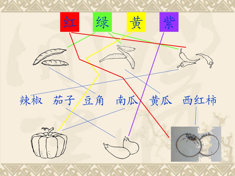 识字（二）3菜园里_第3页