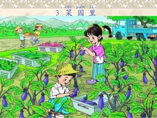 识字（二）3菜园里