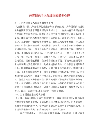 共青团员个人先进性的思考心得 (000001)