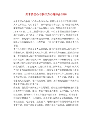 关于责任心与执行力心得体会2020 