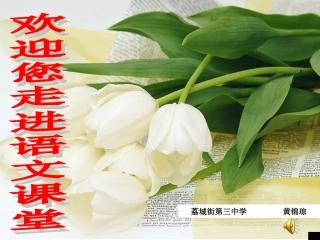 《细节描写，让作文内容充实——作文升格指导》