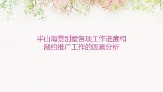 半山海景别墅各项工作进度和制约推广工作的因素分析课件