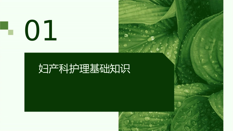 妇产科学妇产科评估护理课件_第3页