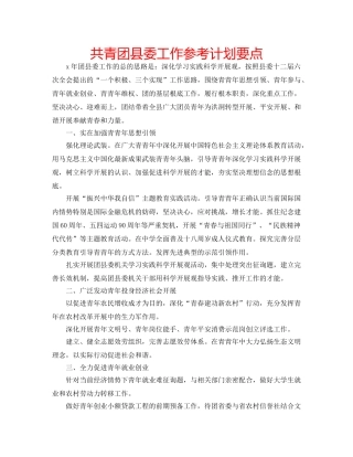 共青团县委工作参考计划要点 