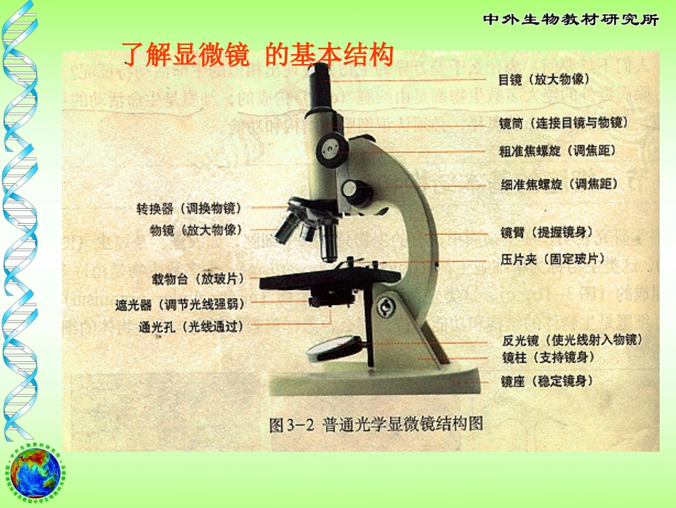 显微镜结构玻片标本制作_第2页