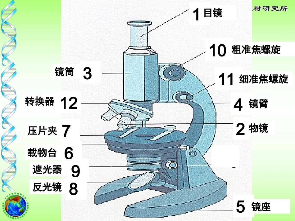 显微镜结构玻片标本制作_第3页