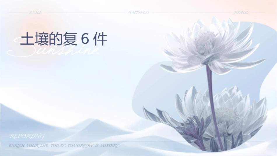 土壤的复习课6课件_第1页