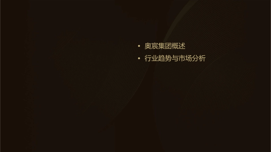奥宸集团战略规划课件_第2页
