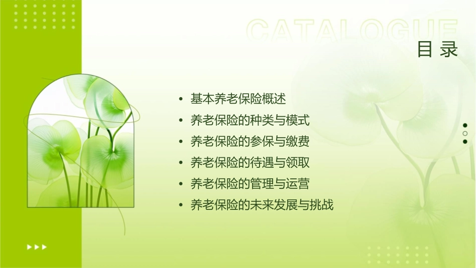 基本养老保险通解课件_第2页