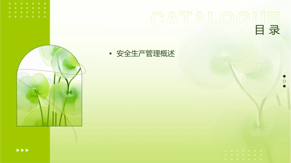 安全生产管理与技术课件_第2页