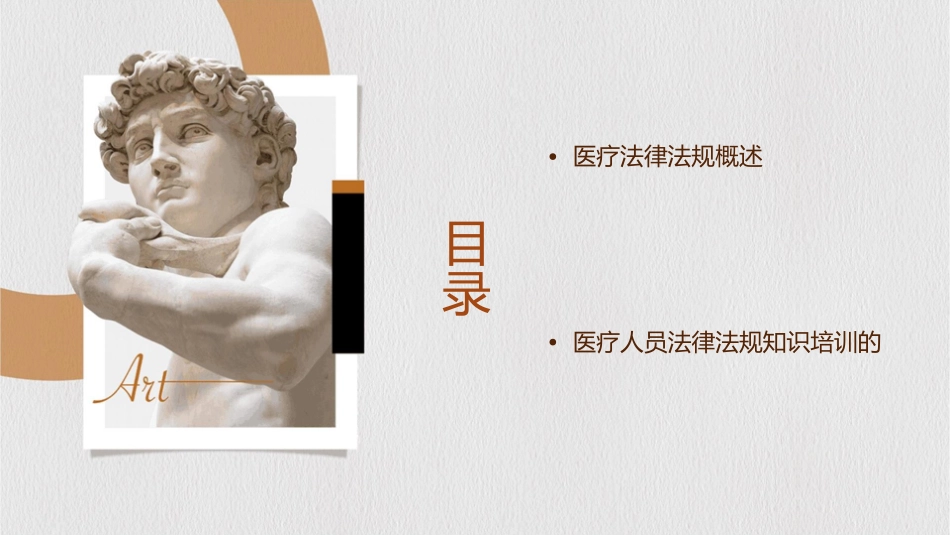 医疗人员法律法规知识培训护理课件_第2页