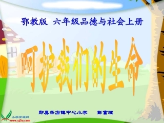 鄂教版品德与社会六年级上册《呵护我们的生命》课件 (2)