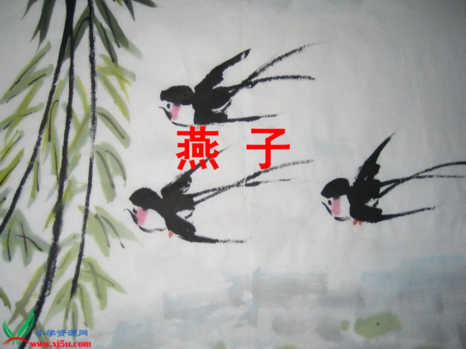 燕子PPT课件_第1页
