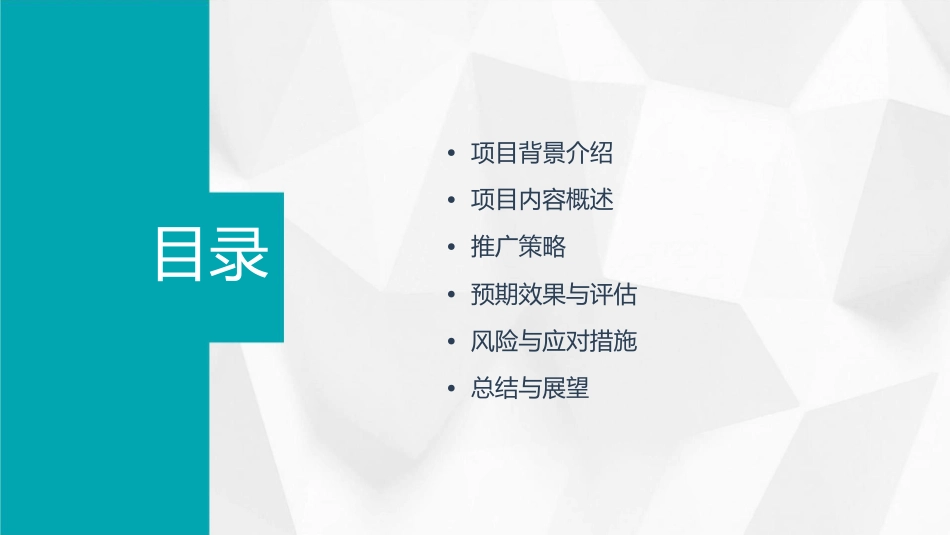 天瑞项目整合推广课件_第2页