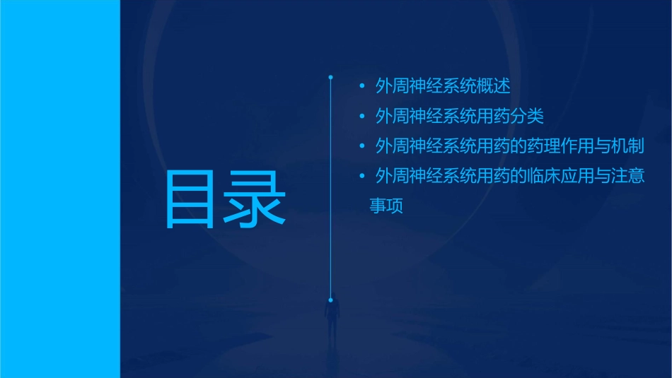 外周神经系统用药外周神经系统可以分为传入神课件_第2页