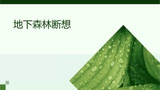 地下森林断想说课课件