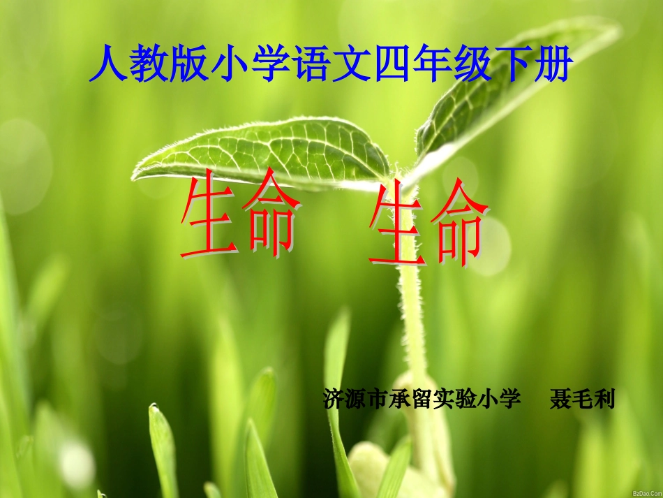生命生命 (2)_第1页