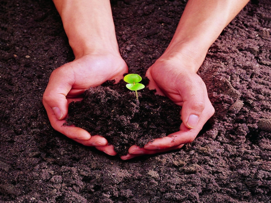 生命生命 (2)_第2页