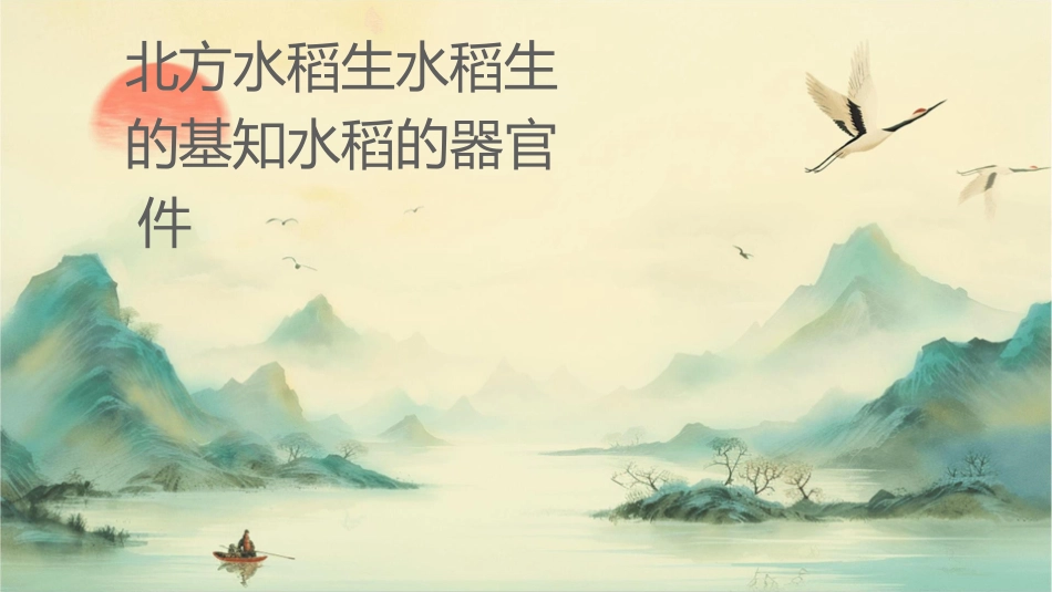 北方水稻生产 水稻生产的基础知识水稻的器官护理课件_第1页