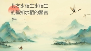 北方水稻生产 水稻生产的基础知识水稻的器官护理课件