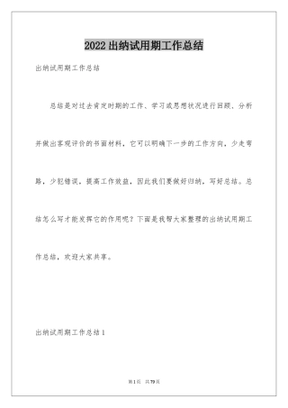 2024出纳试用期工作总结_6