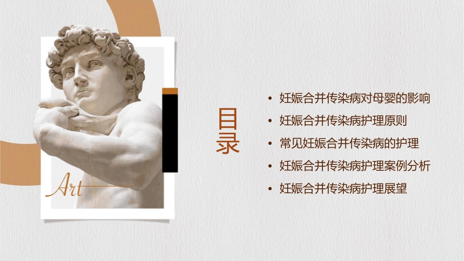 妊娠合并传染病护理课件_第2页