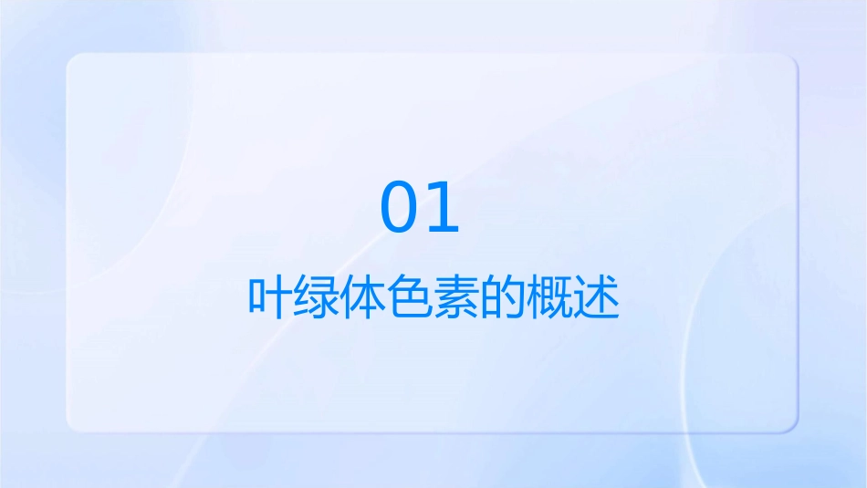 叶绿体色素的提取和分离课件_第3页