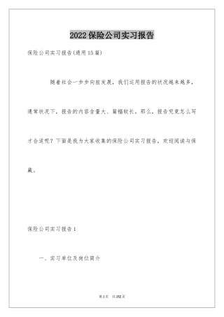 2024保险公司实习报告_32