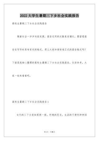 2024大学生暑期三下乡社会实践报告_3