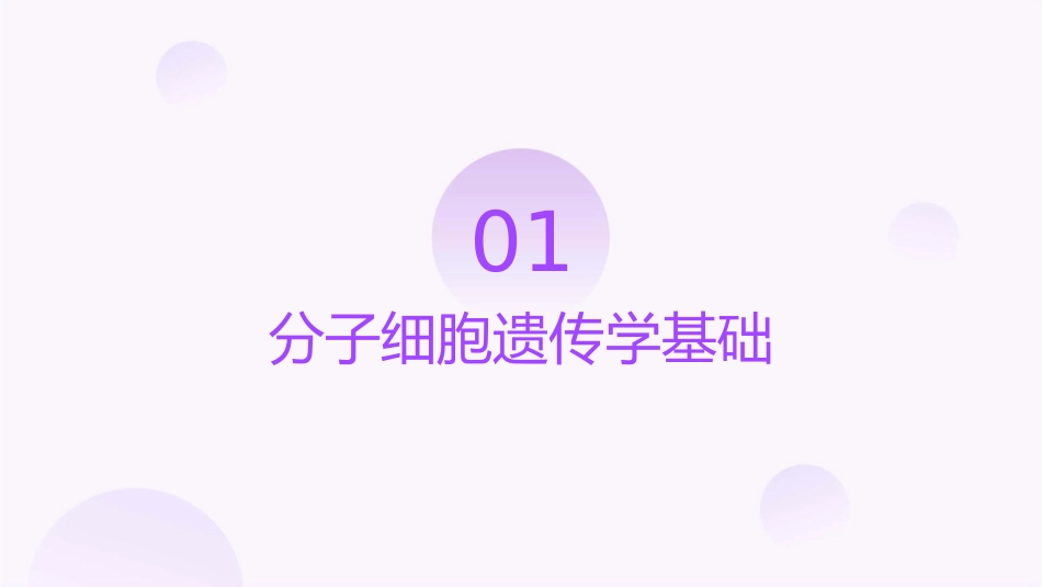 分子细胞遗传学与血液恶性疾病诊治护理课件_第3页