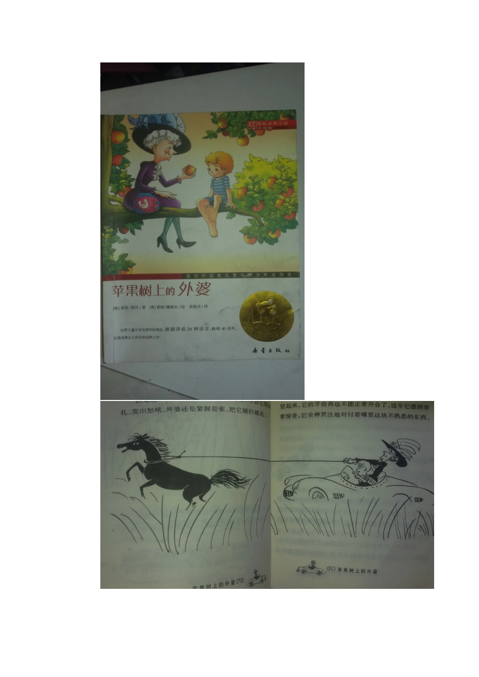 阅读分享《苹果树上的外婆》林昱希_第2页