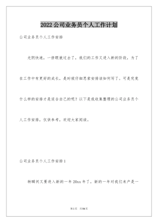 2024公司业务员个人工作计划_5