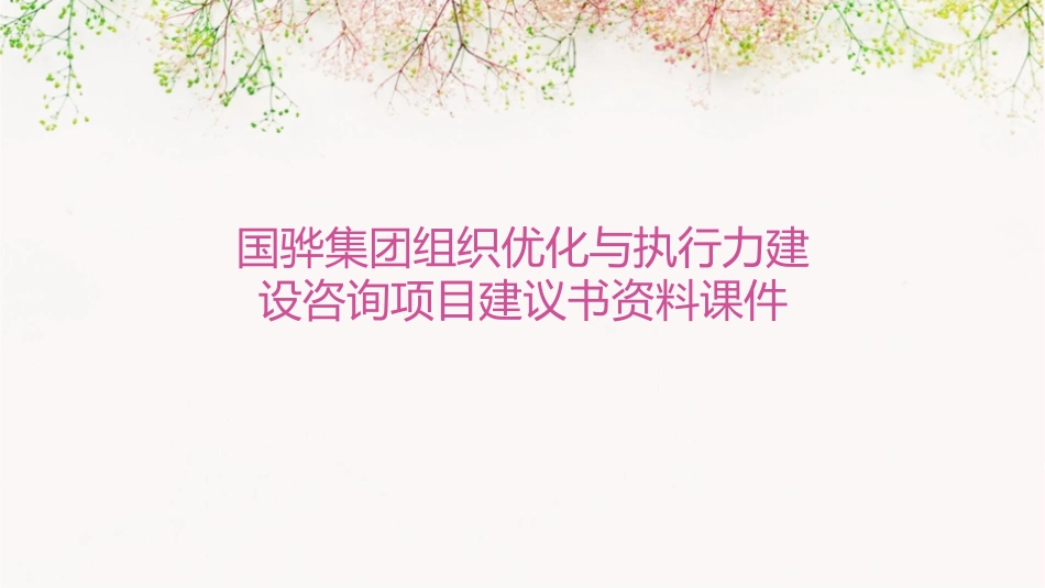 国骅集团组织优化与执行力建设咨询项目建议书资料课件_第1页