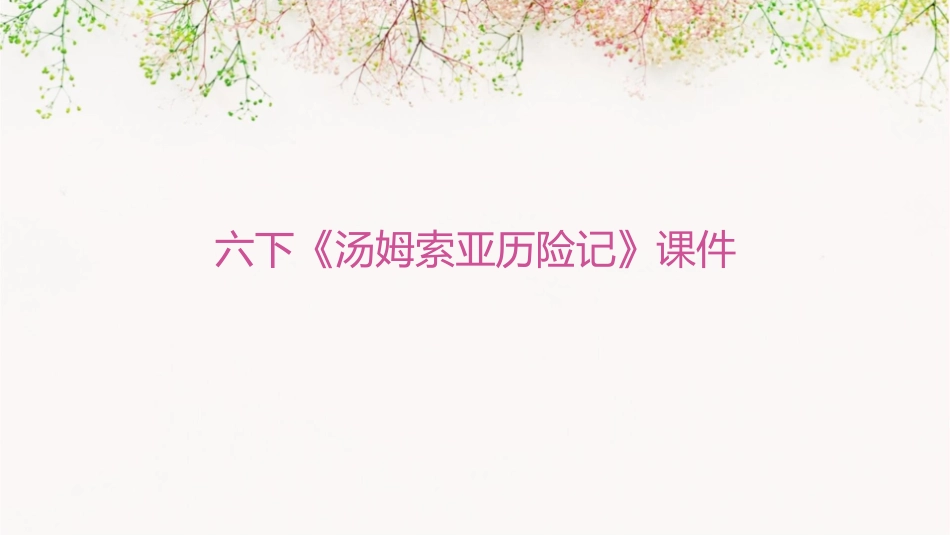 六下《汤姆索亚历险记》用课件_第1页