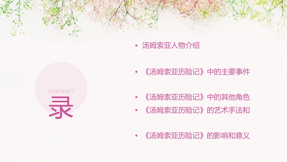 六下《汤姆索亚历险记》用课件_第2页