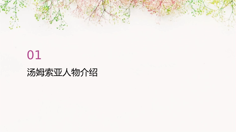 六下《汤姆索亚历险记》用课件_第3页