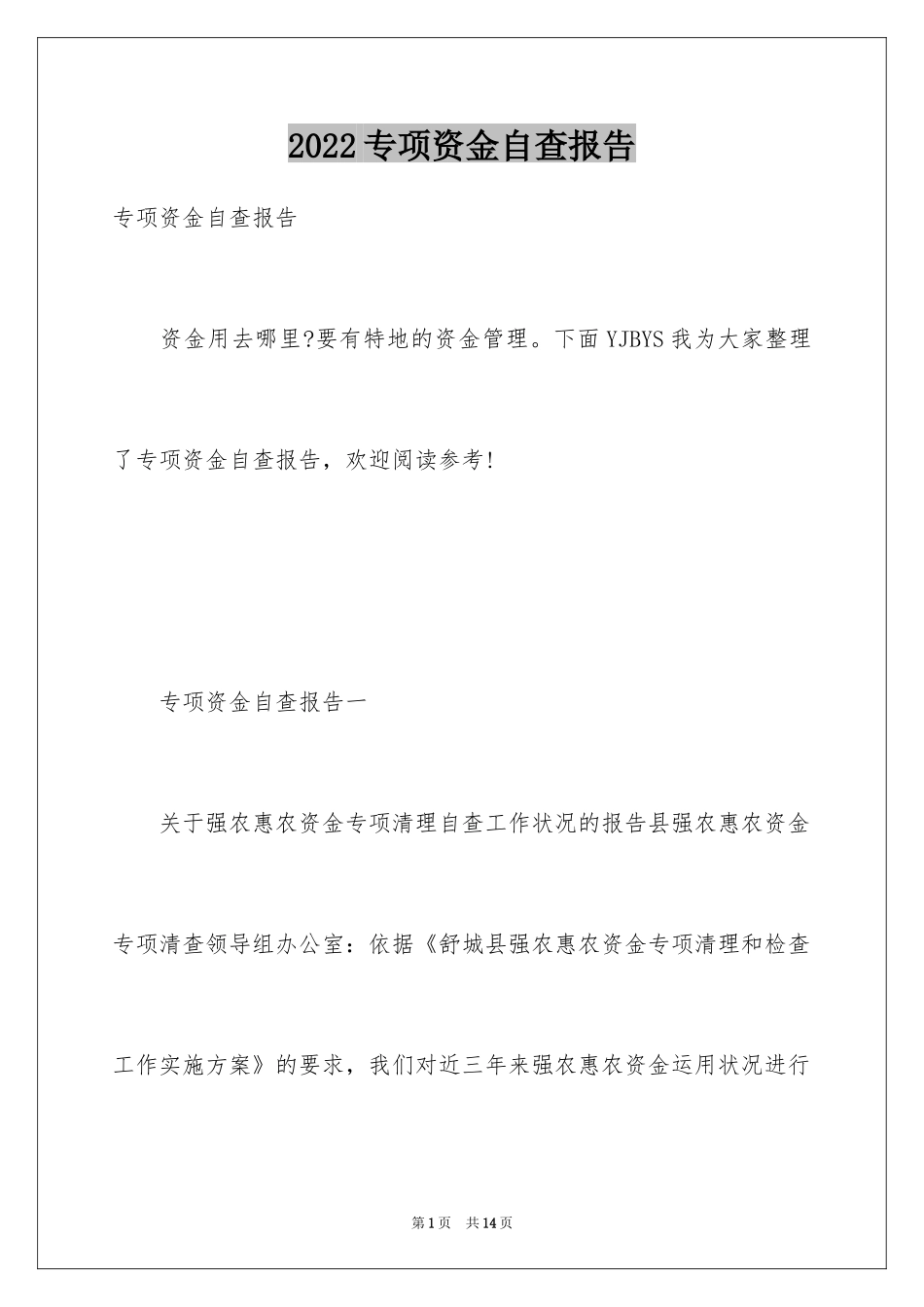 2024专项资金自查报告_4_第1页