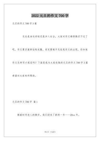 2024元旦的作文700字_15