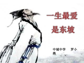 一生最爱是东坡