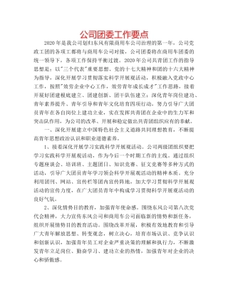 公司团委工作要点 