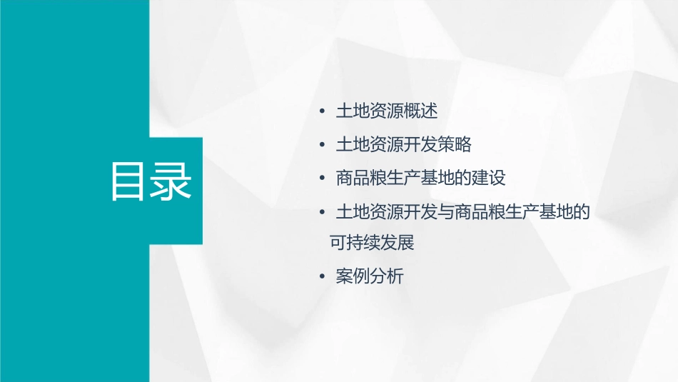 土地资源开发与商品粮生产基地的建设正式版课件_第2页