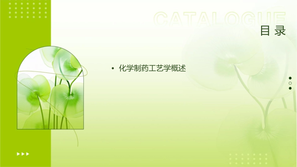 化学制药工艺学绪论课件_第2页