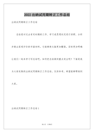 2024出纳试用期转正工作总结_6
