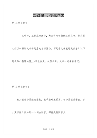 2024夏_小学生作文