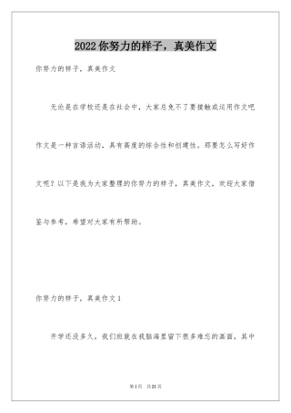 2024你努力的样子，真美作文