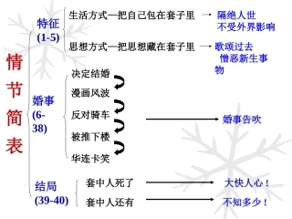 装在套子里的人_