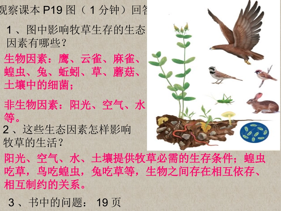 生物与环境组成生态系统_第3页