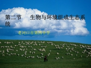 生物与环境组成生态系统